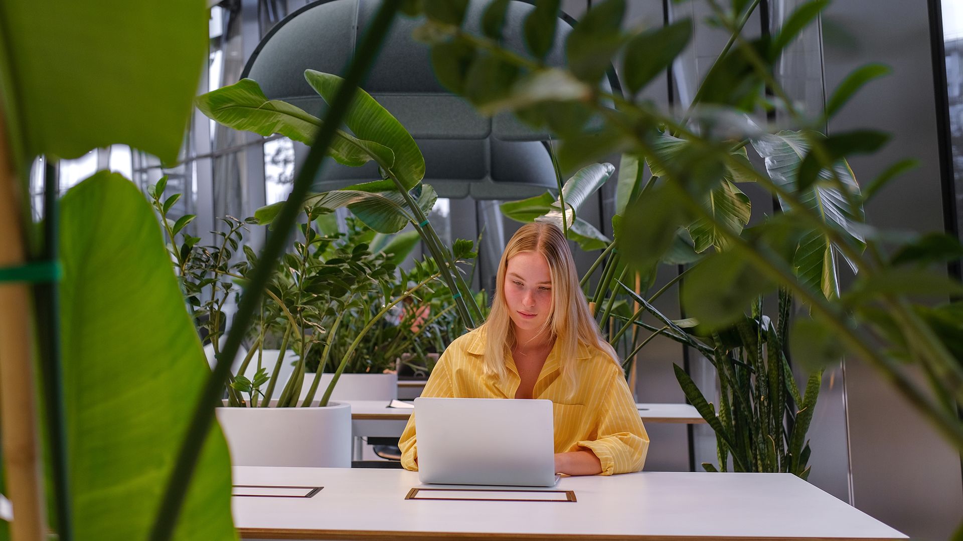 desk.ly mobile application shown on iOS and Android devices for workspace reservations